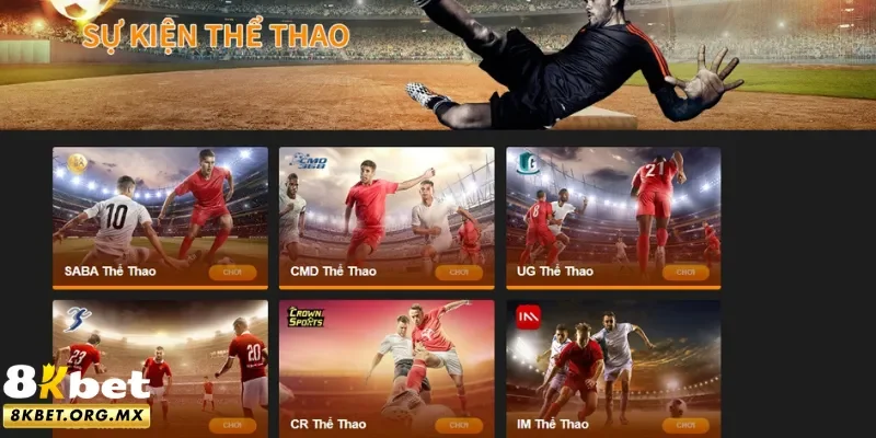 Chuyên mục sports chủ lực